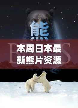 日本最新熊片资源综述,背景、进展与特定领域地位探讨