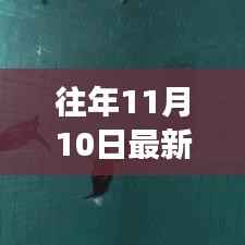 十一月十日,与声波的奇妙遨游