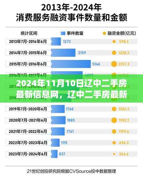 2024年11月10日辽中二手房市场最新动态,楼市变迁与影响深度解析