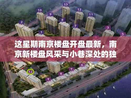 南京新楼盘风采与小巷独特小店探索,本周楼盘开盘最新资讯