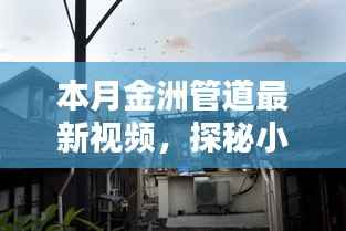 探秘小巷深处的金洲管道传奇,最新视频展现独特风情