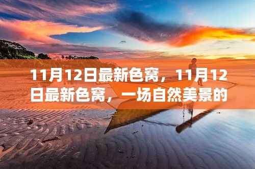 11月12日最新色窝探秘之旅,自然美景中寻找内心平和与宁静