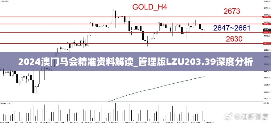 2024澳门马会精准资料解读_管理版LZU203.39深度分析
