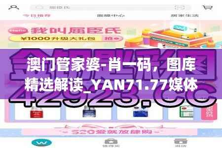 澳门管家婆-肖一码,图库精选解读_YAN71.77媒体版