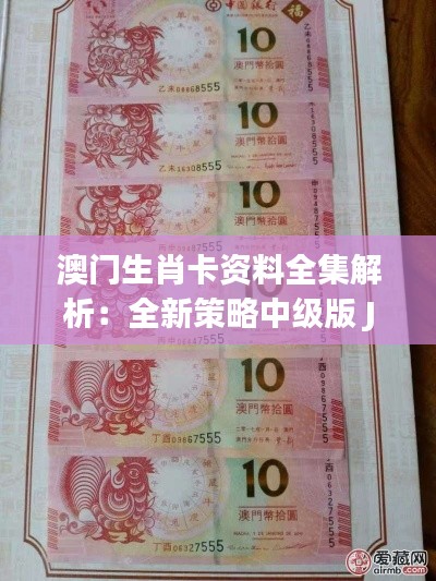 澳门生肖卡资料全集解析:全新策略中级版 JER243.7