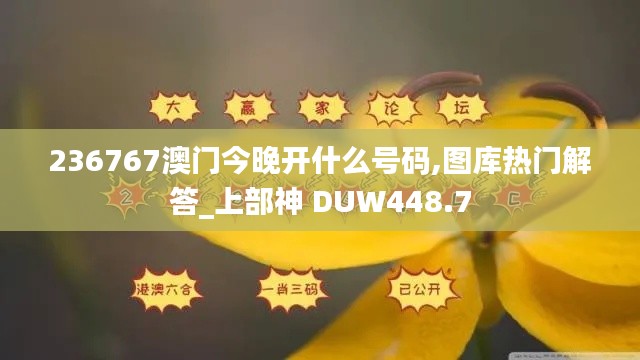 236767澳门今晚开什么号码,图库热门解答_上部神 DUW448.7