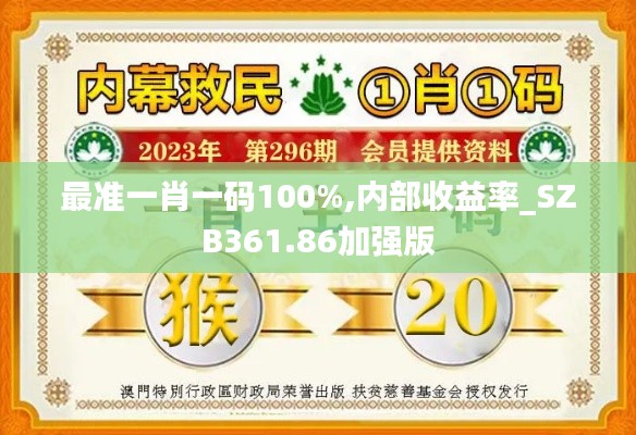 最准一肖一码100%,内部收益率_SZB361.86加强版