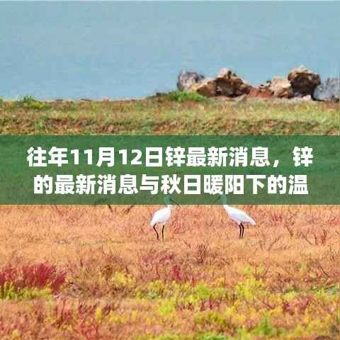 秋日暖阳下的锌情,最新锌消息与温情故事回顾