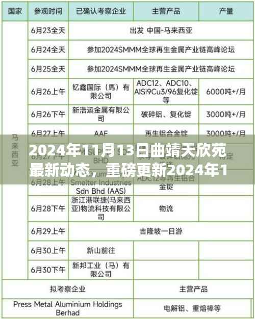 揭秘,2024年11月13日曲靖天欣苑最新动态重磅更新