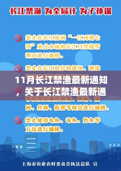 长江禁渔最新通知执行步骤指南,初学者与进阶用户操作手册