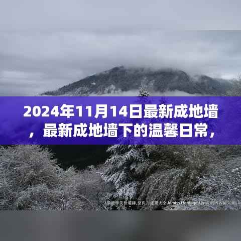 最新成地墙下的温馨日常,友谊与爱共筑美好家园的2024年1月记事