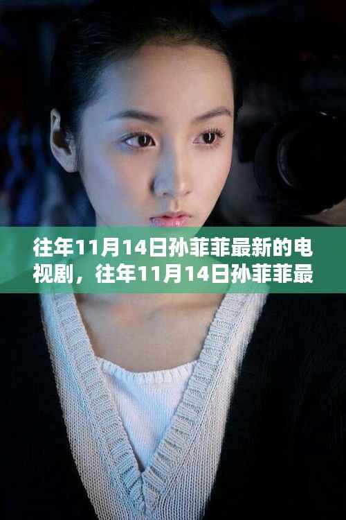 孙菲菲演艺之路璀璨瞬间,最新电视剧回顾与往年11月14日精彩集锦