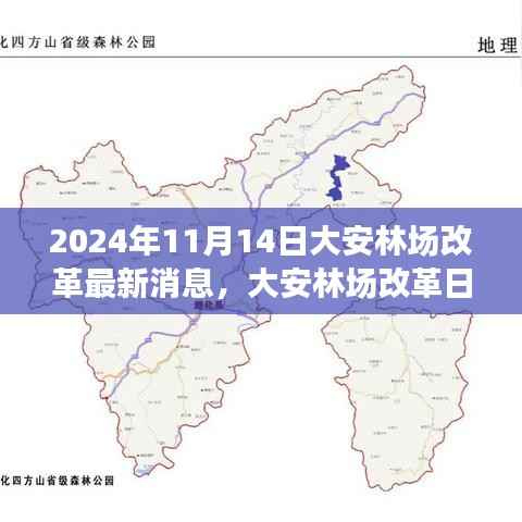 大安林场改革故事会,最新消息与温馨改革之旅(2024年11月14日)
