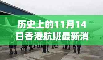 历史上的11月14日香港航班今日动态更新，最新航班消息速递
