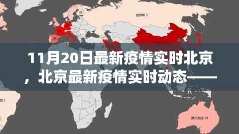 北京疫情最新动态,11月20日报告及关键要点解析