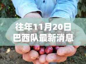 巴西队最新动态与小巷探秘,揭秘背后秘密与最新消息