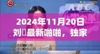 独家评测,刘玥最新啪啪产品深度解析与用户体验反馈(2024年11月版)