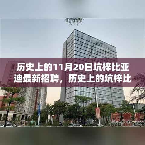 坑梓比亚迪招聘高峰日揭秘,探寻历史招聘足迹下的11月20日
