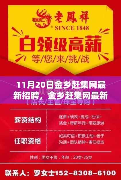 11月20日金乡赶集网最新招聘汇总,热点岗位解析与招聘信息