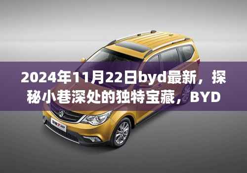 探秘小巷深处的独特宝藏,BYD最新隐藏版特色小店揭秘(2024年11月22日)