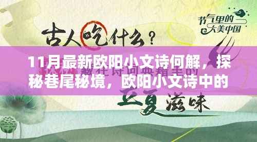 欧阳小文诗探秘巷尾秘境,揭秘新解与隐藏佳肴