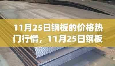 11月25日钢板价格行情深度解析,市场波动与多方观点透视