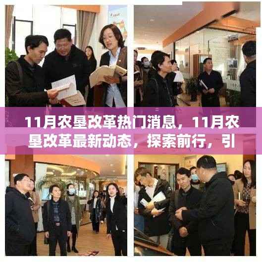探索前行,农垦改革最新动态引领农业现代化