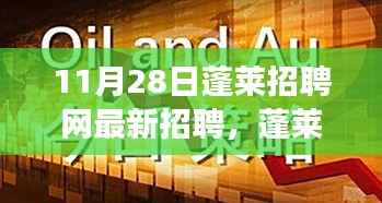 11月28日蓬莱招聘网最新招聘盛况,职场风向标聚焦