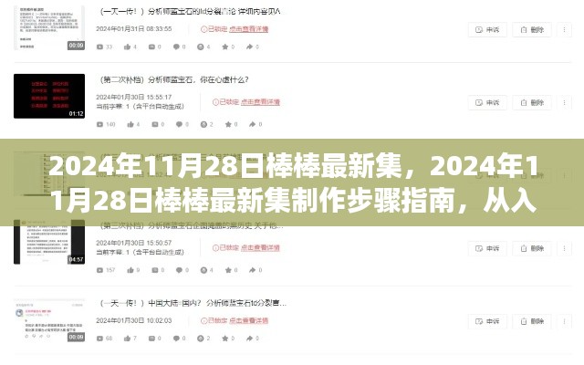 2024年11月28日棒棒最新集制作指南,从入门到精通