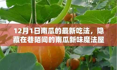 12月1日南瓜新味魔法屋,探秘南瓜盛宴的隐藏魅力