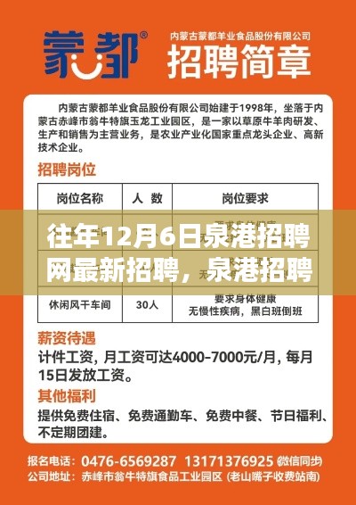 泉港招聘网独家速递,历年12月6日最新招聘信息大盘点与往年招聘动态回顾