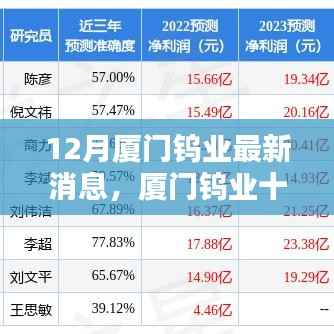 厦门钨业十二月最新动态概览,最新消息概览