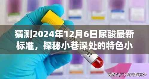 2024年尿酸最新标准预测与小巷特色美食探秘,味蕾与健康的双重奇遇
