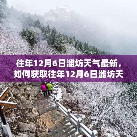 往年12月6日潍坊天气最新信息获取指南,初学者与进阶用户必读