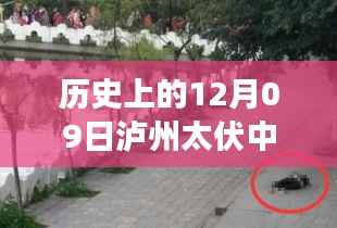 泸州太伏中学,追寻内心平静的旅程启程于十二月九日,自然美景启示心灵之旅