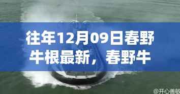 揭秘往年12月09日春野牛根最新动态与三大要点揭秘