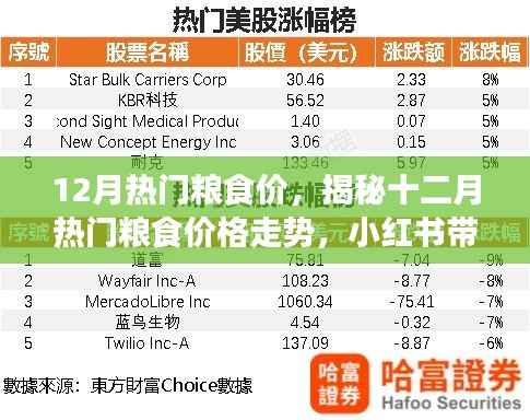 揭秘十二月粮食市场走势,热门粮食价格动态与小红书带你洞悉市场新动态