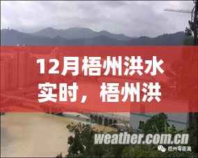 梧州洪水实时监测,系统深度评测、特性、体验、竞品对比及用户分析