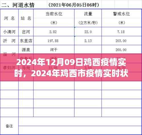 2024年鸡西市疫情实时状况深度解析与观点阐述