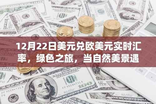 美元与欧元邂逅绿色之旅,汇率波动下的自然美景实时汇率观察