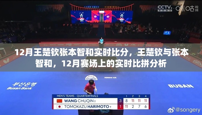 12月王楚钦与张本智和赛场实时比拼,比分分析与对决解析