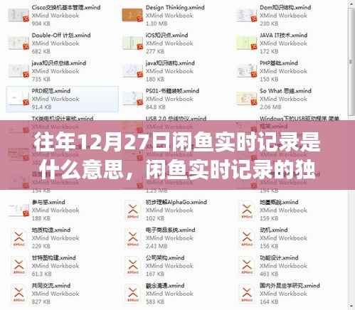 历年十二月二十七日闲鱼实时记录的深度剖析与独特印记探索