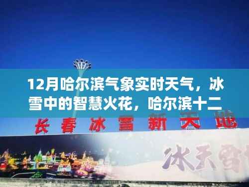 哈尔滨十二月冰雪智慧,气象实时观察与启示录