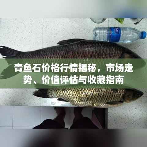 青鱼石价格行情揭秘,市场走势、价值评估与收藏指南