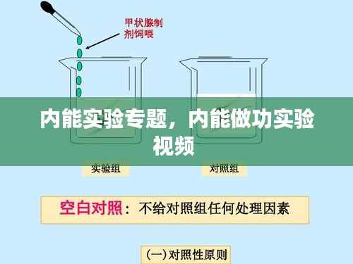 内能实验专题,内能做功实验视频