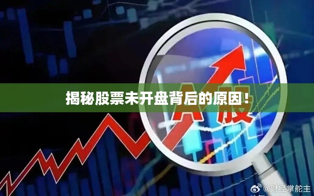 揭秘股票未开盘背后的原因!