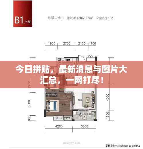 今日拼贴,最新消息与图片大汇总,一网打尽!