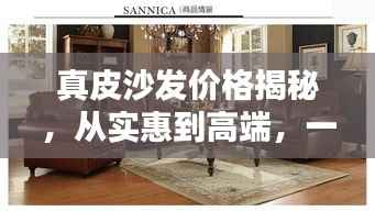 真皮沙发价格揭秘,从实惠到高端,一篇文章全知道!