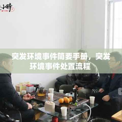 突发环境事件简要手册,突发环境事件处置流程