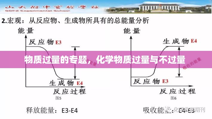 物质过量的专题,化学物质过量与不过量